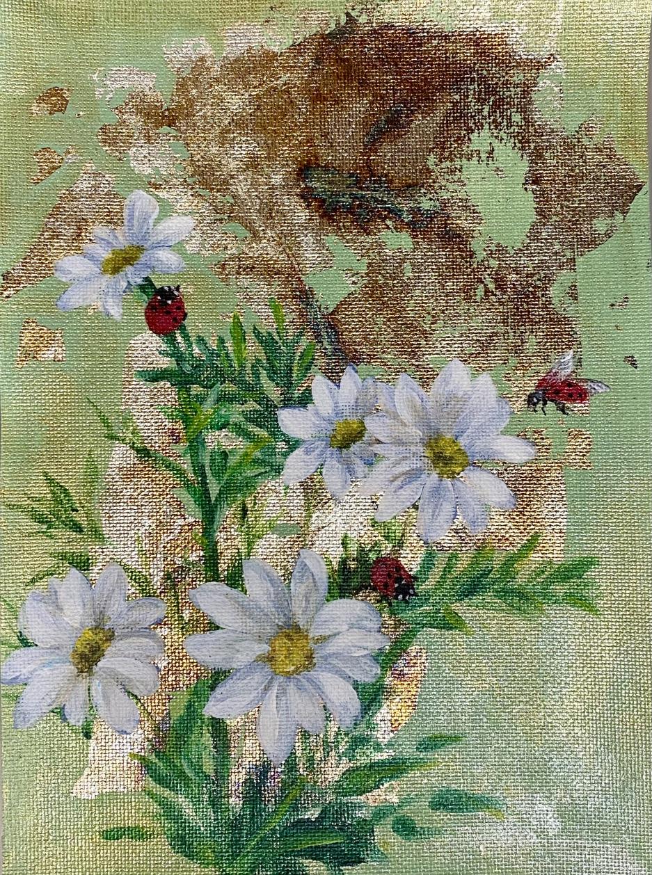 雛菊小花朵白色吸引蝴蝶