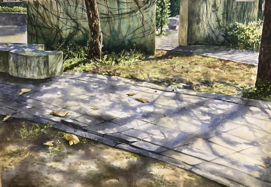 漂亮的榕樹光影氛圍很好很好看