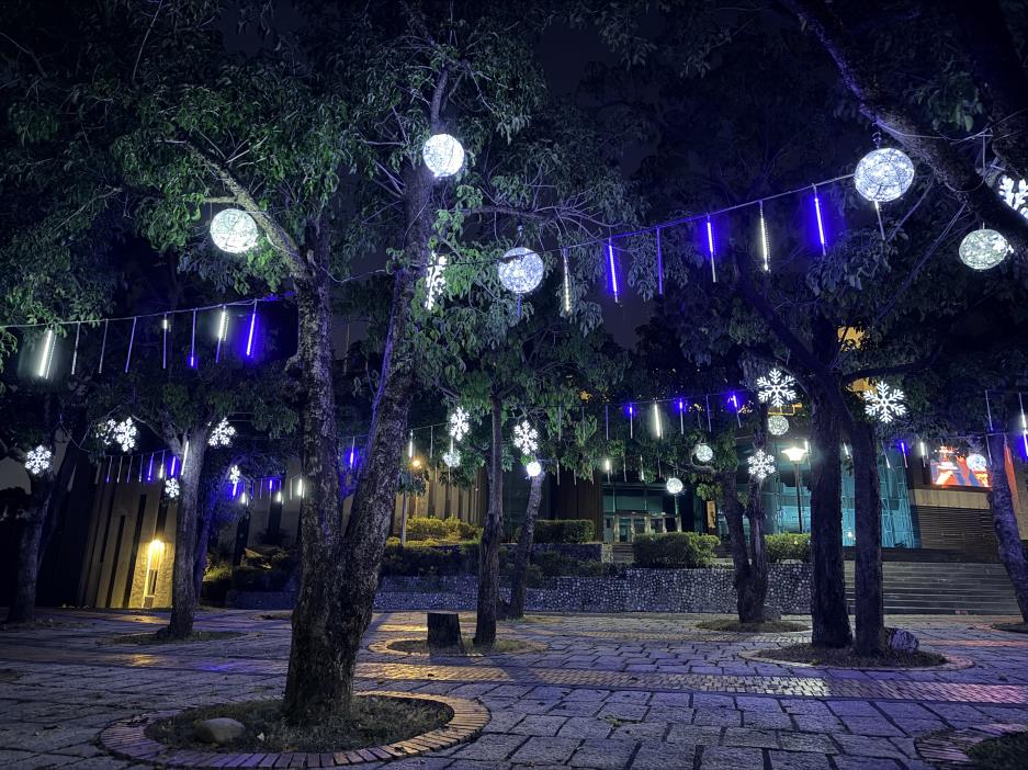 戶外樹上的雪球燈、流星燈、雪花燈相互輝映2