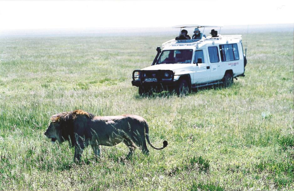 👆非洲的狩獵旅行 ( Safari ) 到底有什麼迷人之處 ? 在電視上看Discovery 的動物奇觀和親臨現場又有什麼不同呢 ? 請聽旅遊達人蘇三仁娓娓道來。