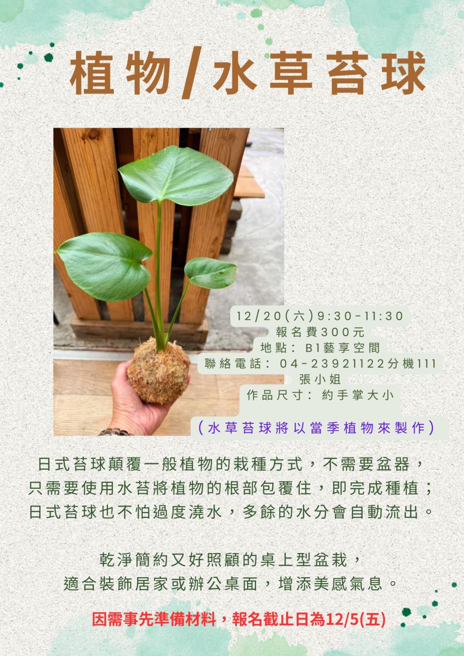 12/20「植物/水草苔球」宣傳海報