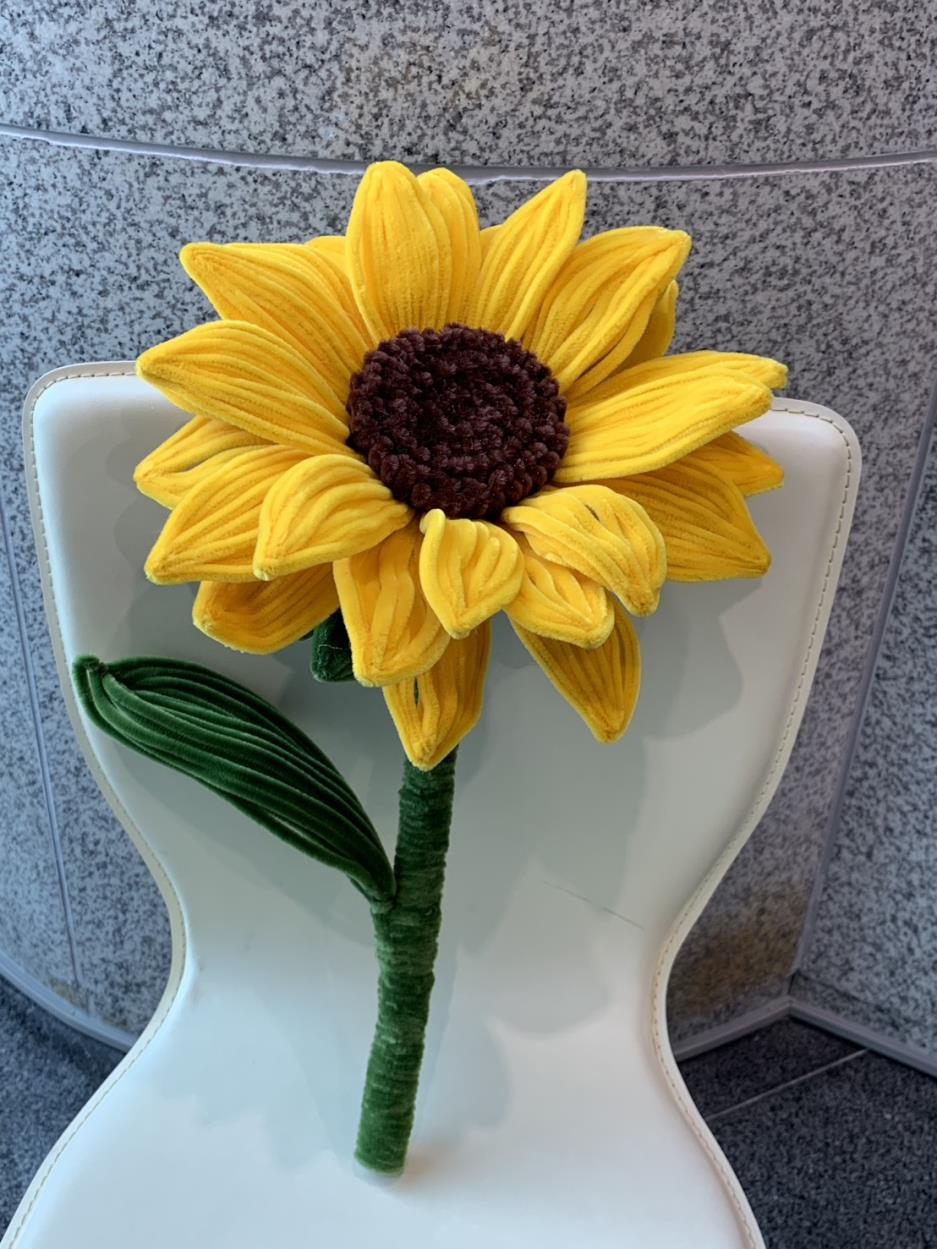 畢業季限定手作課程