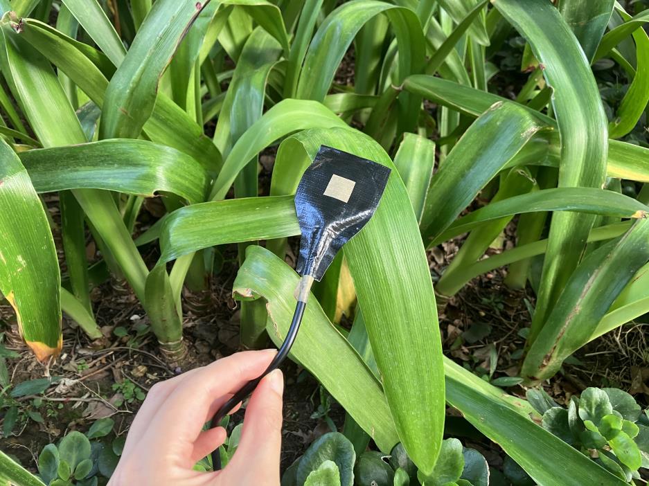 〈如果我有＿的耳朵？— 想像聆聽裝置〉自製專屬聆聽裝置，展開一場驚喜的聲音冒險；發現身邊的聲音，分享你聽見的不一樣世界。