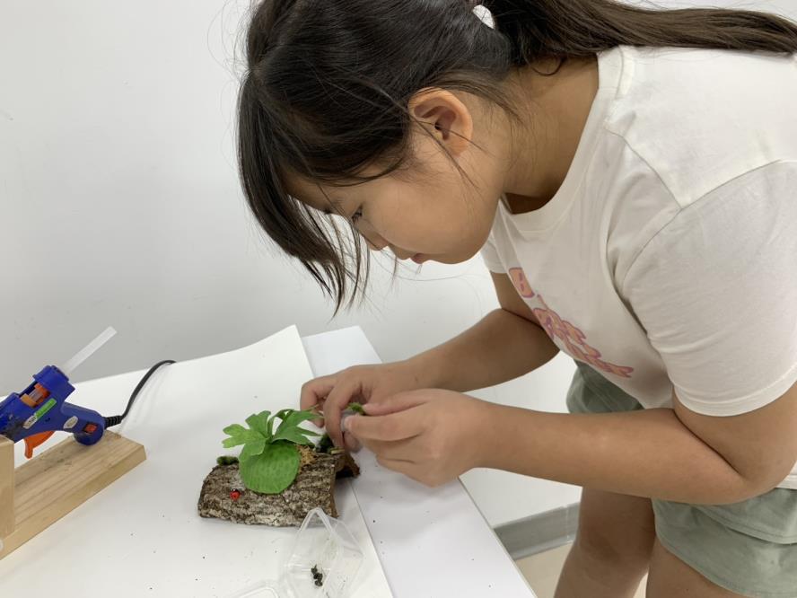 掌握仿生紋理技巧，展現自然原貌