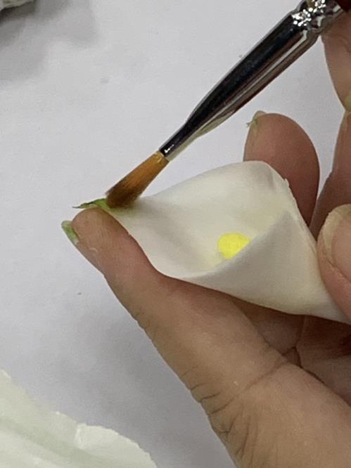 製作海芋花瓣，利用淡綠色點綴海芋